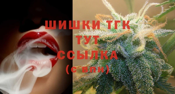 стаф Россошь