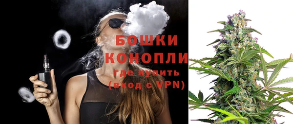 стаф Россошь