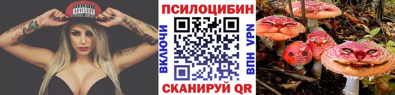 Псилоцибиновые грибы GOLDEN TEACHER  Курлово 